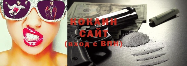 прущие грибы Бородино