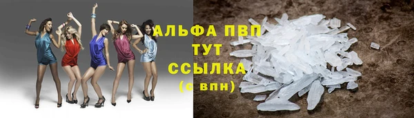 амф Богданович