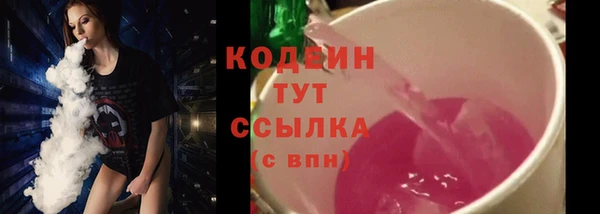 прущие грибы Бородино