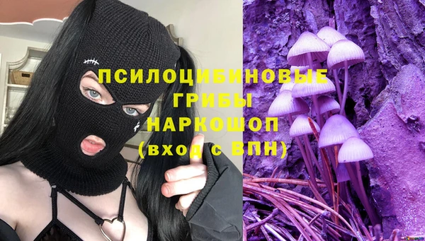 ГАЛЛЮЦИНОГЕННЫЕ ГРИБЫ Богородск