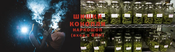гидра Белокуриха