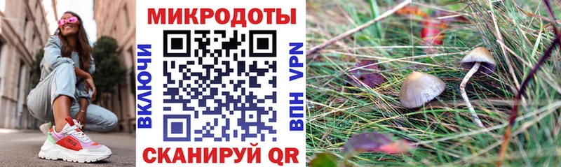 Псилоцибиновые грибы мухоморы Высоковск